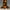 Limbert, Rare Windmill variation scenic table lamp - Image 5 of 5