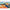 HUMBERT HOWARD, Untitled (Still Life) | toomeyco.com