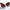 ICO PARISI, lounge chairs, pair | toomeyco.com