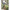 FAIRFIELD PORTER, Precipice | toomeyco.com