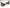 ICO PARISI, lounge chairs, pair | toomeyco.com