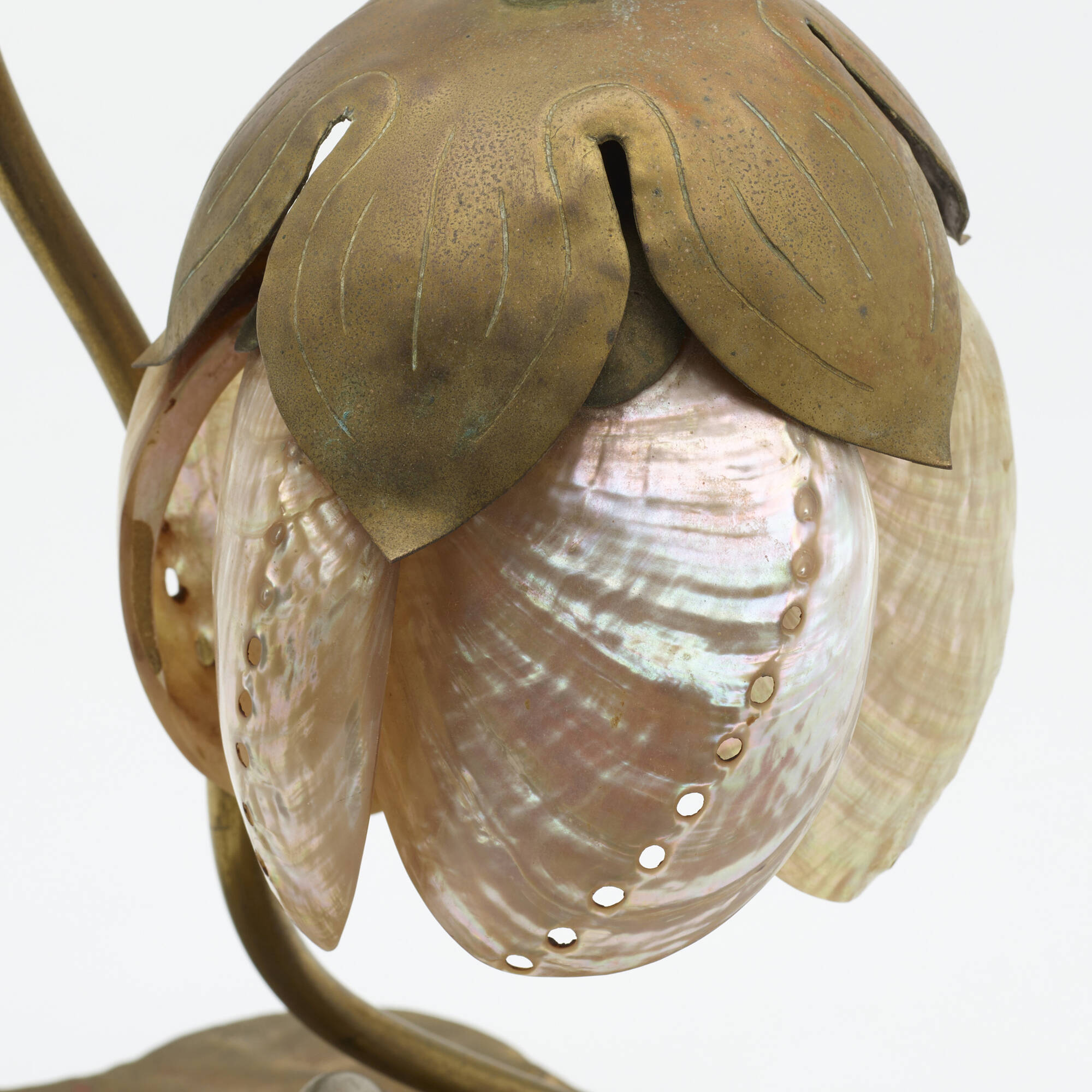 Abalone shell lamp online