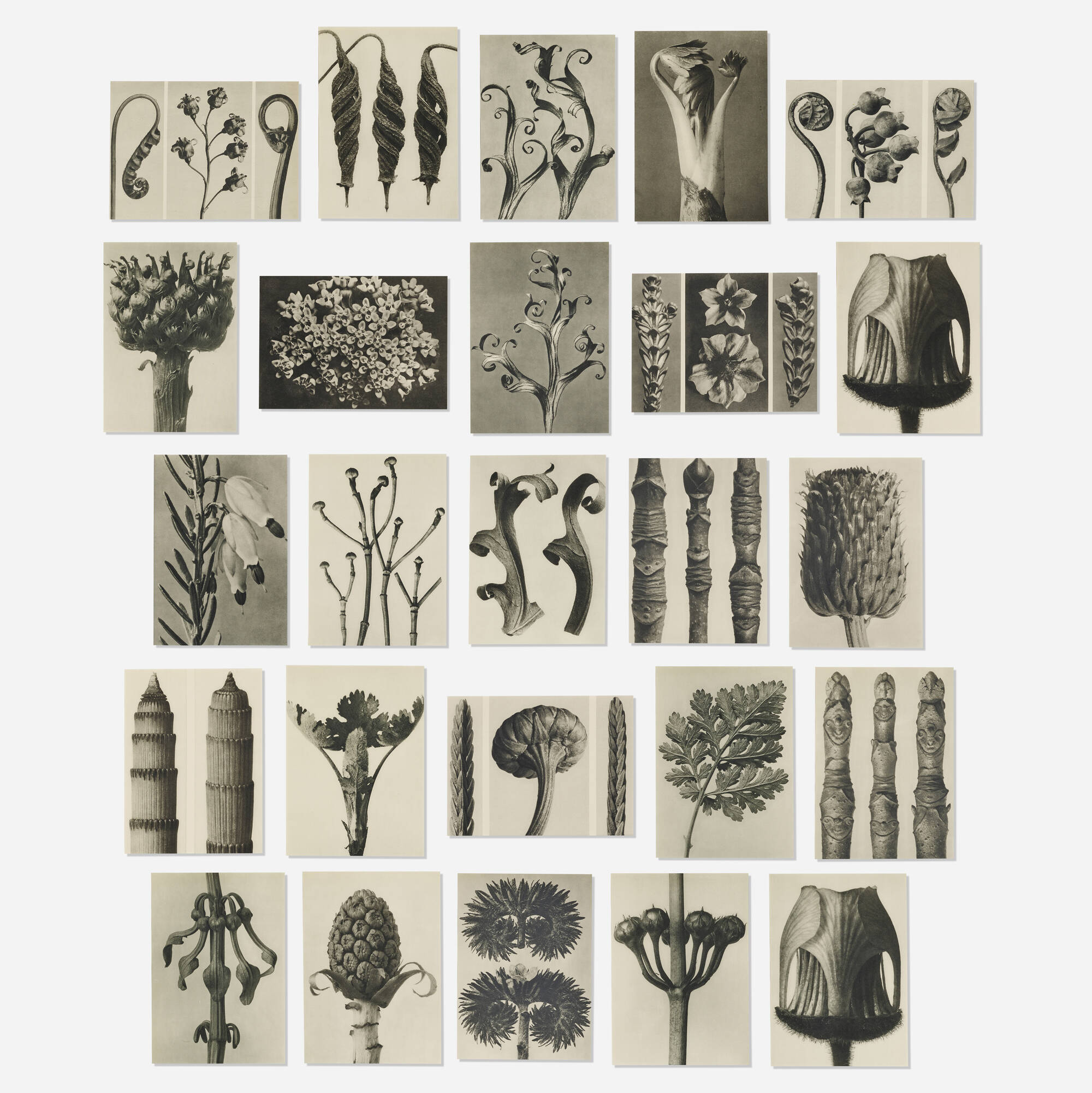 アート・デザイン・音楽 KARL BLOSSFELDT WORKING COLLAGES 455: KARL BLOSSFELDT, Collection of sixty-three works