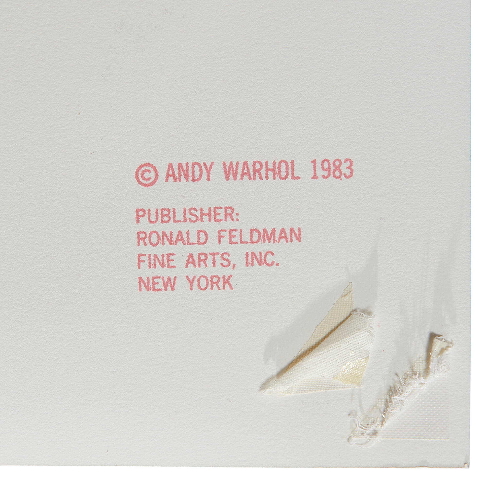 47: ANDY WARHOL, Grevy's Zebra from Endangered Species, 1983